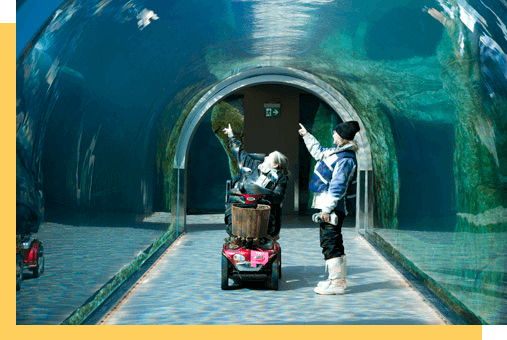 Une personne est en fauteuil roulant et une autre debout dans un tunnel au zoo.